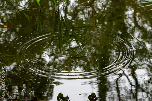 reflections and rain in lake © Nathaniel