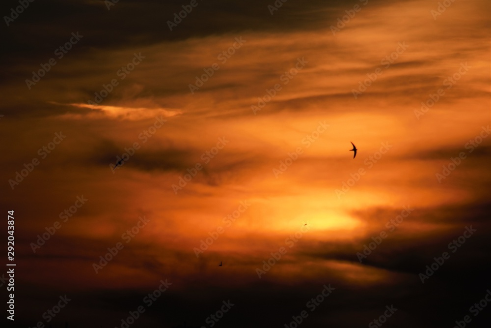 Sunset over the island of Crete after stormy winds from Sahara. Orange, golden and red sky with swallows Sunset over the island of Crete after stormy winds from Sahara. Orange, golden and red sky with swallows