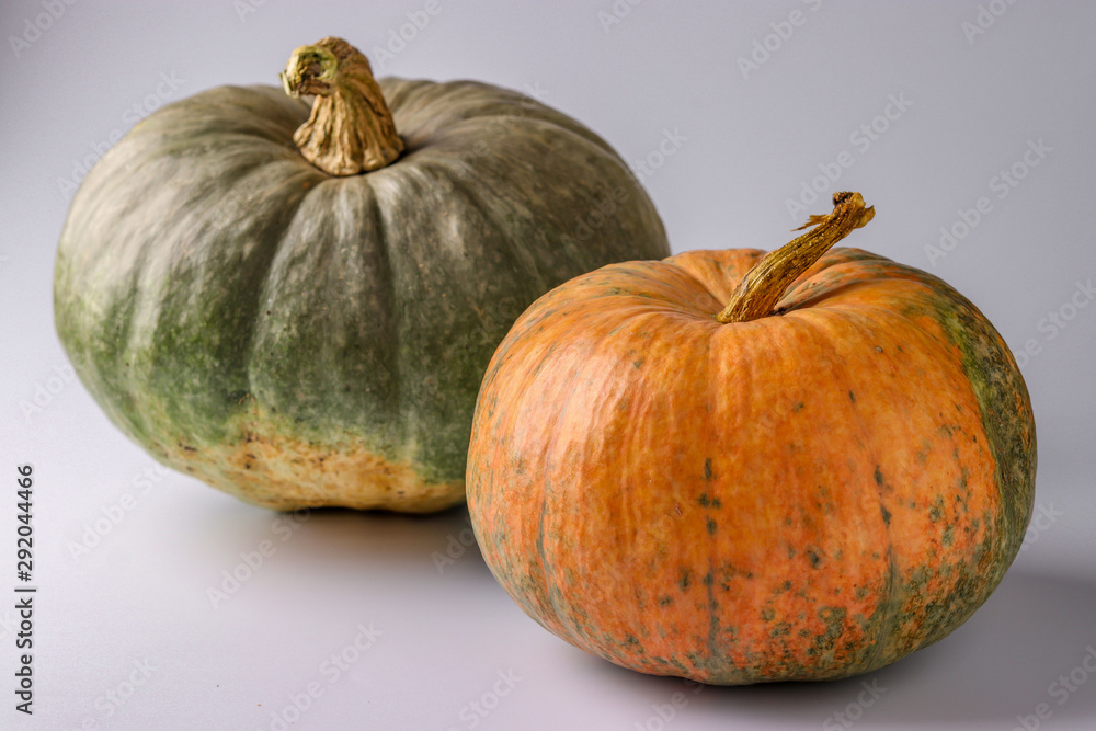Pumpkins of green and orange on a white background with a shadow, Autumn still life, Halloween minimal concept, Horizontal orientation Pumpkins of green and orange on a white background with a shadow, Autumn still life, Halloween minimal concept, Horizontal orientation
