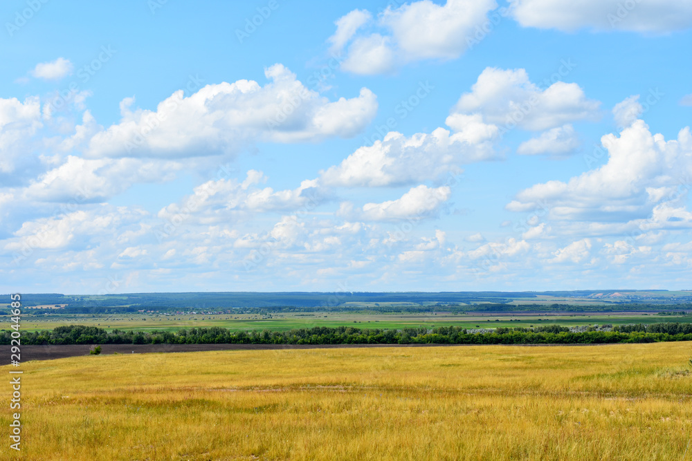 field and forest against the sky, landscape