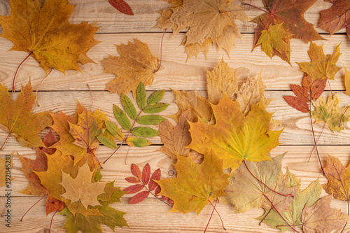 Autumn yellow foliage on the wooden planks. Autumn background concept. Leaf fal. Copy space..
