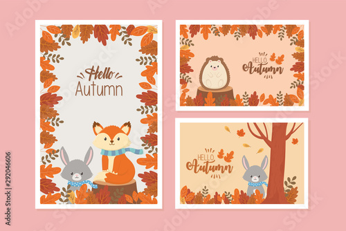 cute animal hello autumn season design