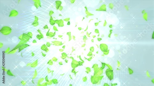 Wallpaper Mural 奥から広がる葉っぱ（ループ可能）/白背景 Torontodigital.ca