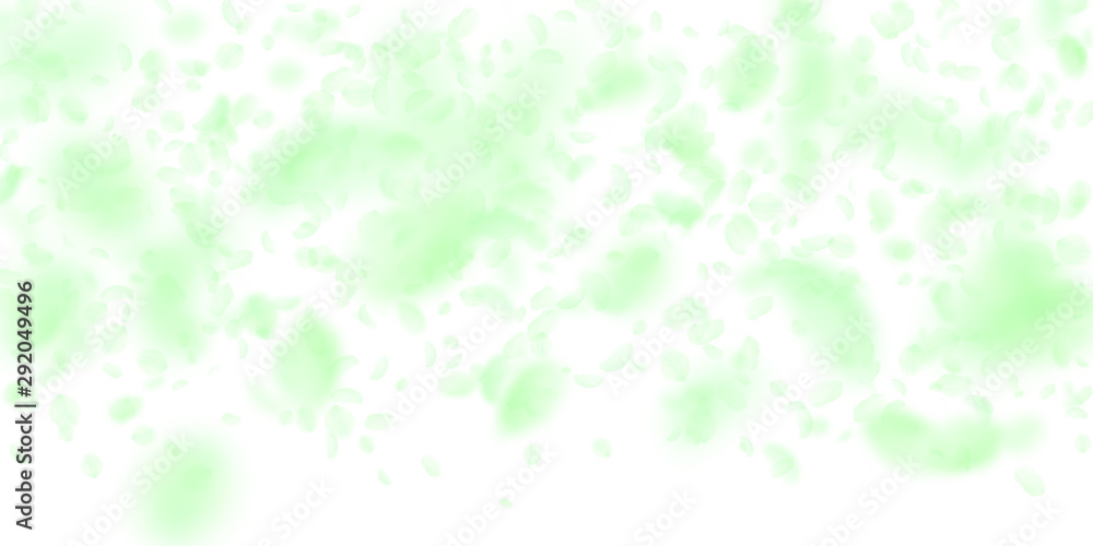 Green flower petals falling down. Favorable romant Green flower petals falling down. Favorable romant