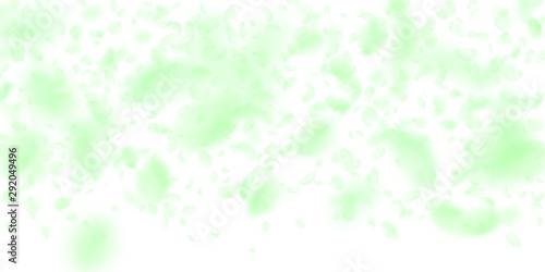 Green flower petals falling down. Favorable romant