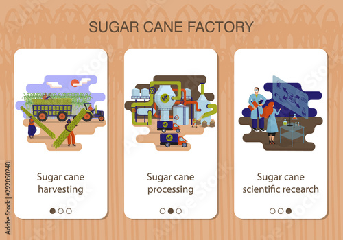 Set of mobile app pages of sugar cane factory about sugar cane harvesting, processing and scientific recearch