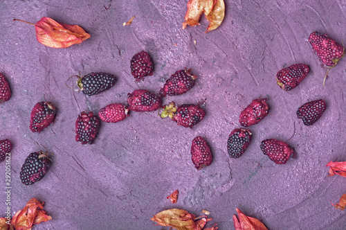 blackberries over the wood