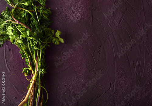 coriander herb dressings