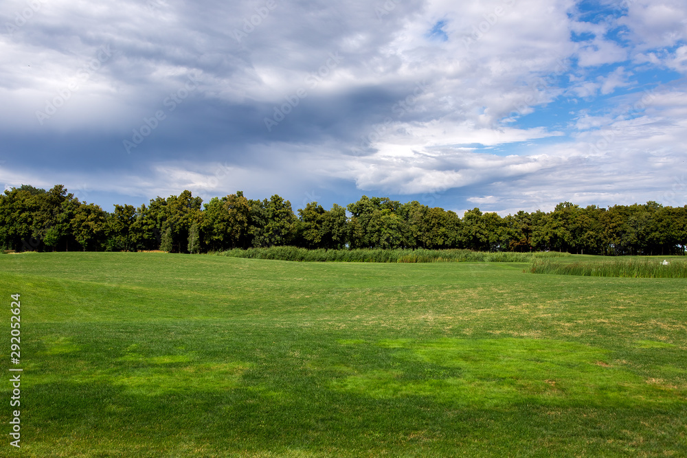 hilly glade with a green lawn lit by sunlight on a summer cloudy day in the background of reeds and deciduous trees.