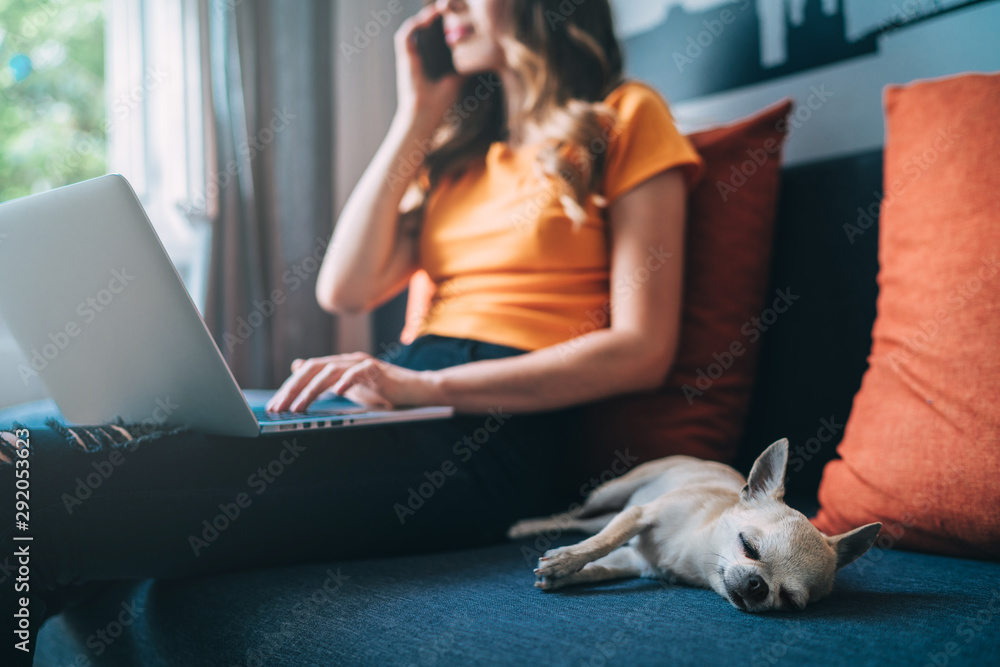 Female freelancer working at home using her laptop and mobile phone Female freelancer working at home using her laptop and mobile phone