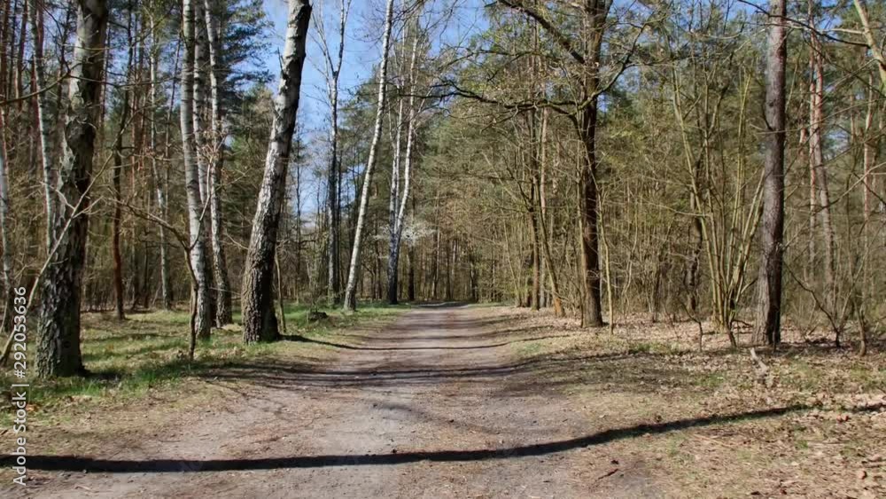 Person riding bike in the forest. Smooth flycam/gimbal shot of sport activity. Person riding bike in the forest. Smooth flycam/gimbal shot of sport activity.