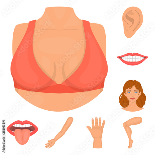 Vector illustration of body and part logo. Collection of body and anatomy stock vector illustration.