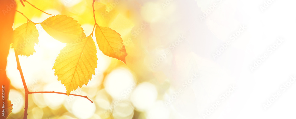 Goldener Herbst Goldener Herbst