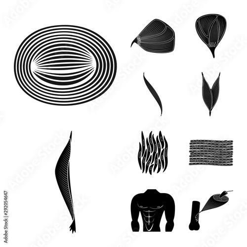 Vector design of human and body sign. Set of human and cells stock symbol for web.