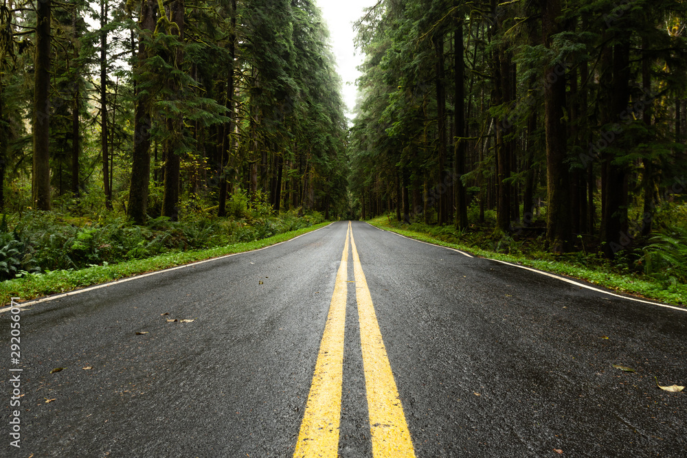Fototapeta premium Wet Country Road in Washington Low Angle