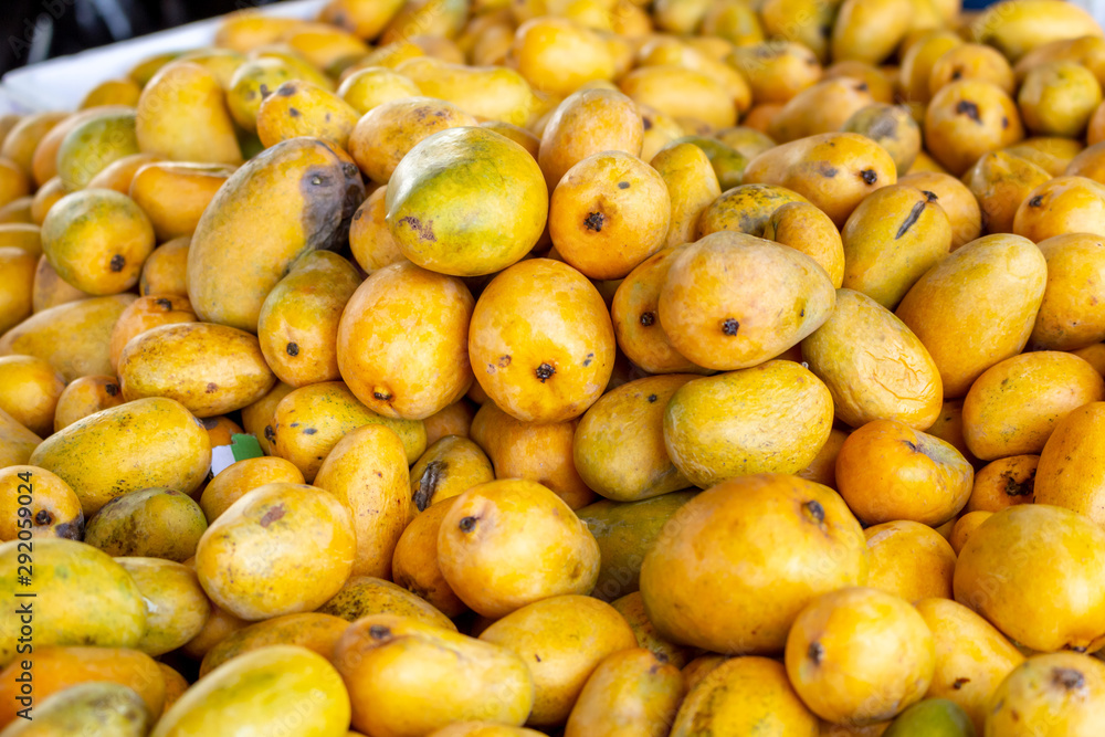 Several small mangos on display at a local farmers market.