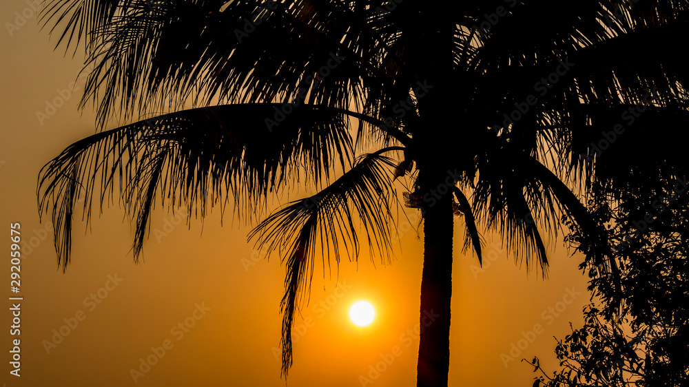 Sunrise  with silhouette tree , Chiangmai Thailand