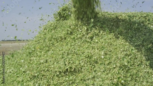 harvester reaps crop corn Silo Field