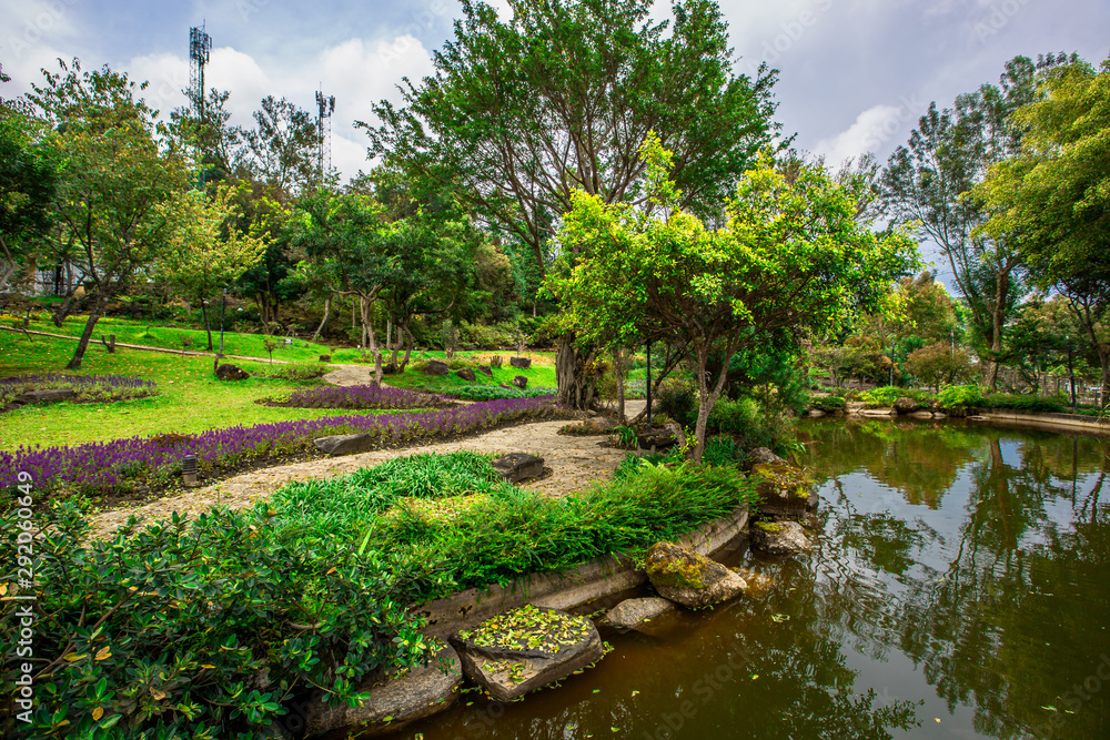 The natural background of the decoration of the park or the ornamental garden, the atmosphere is surrounded by many plants, for people to sit and relax while traveling.