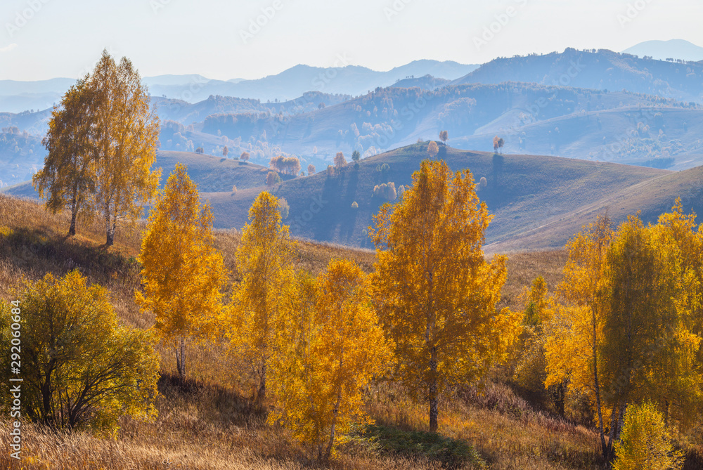 Autumn view, yellow trees on the hillside. Mountains in the distance in a blue haze.