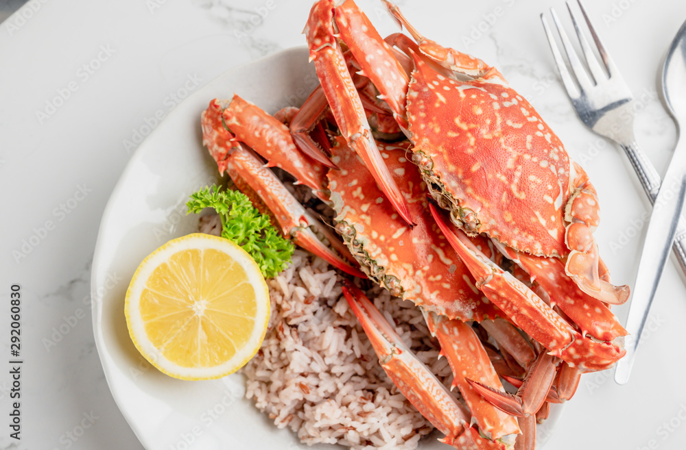 Cooked Steamed blue crab on white plate food concept background, top view Cooked Steamed blue crab on white plate food concept background, top view