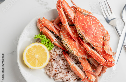 Cooked Steamed blue crab on white plate food concept background, top view
