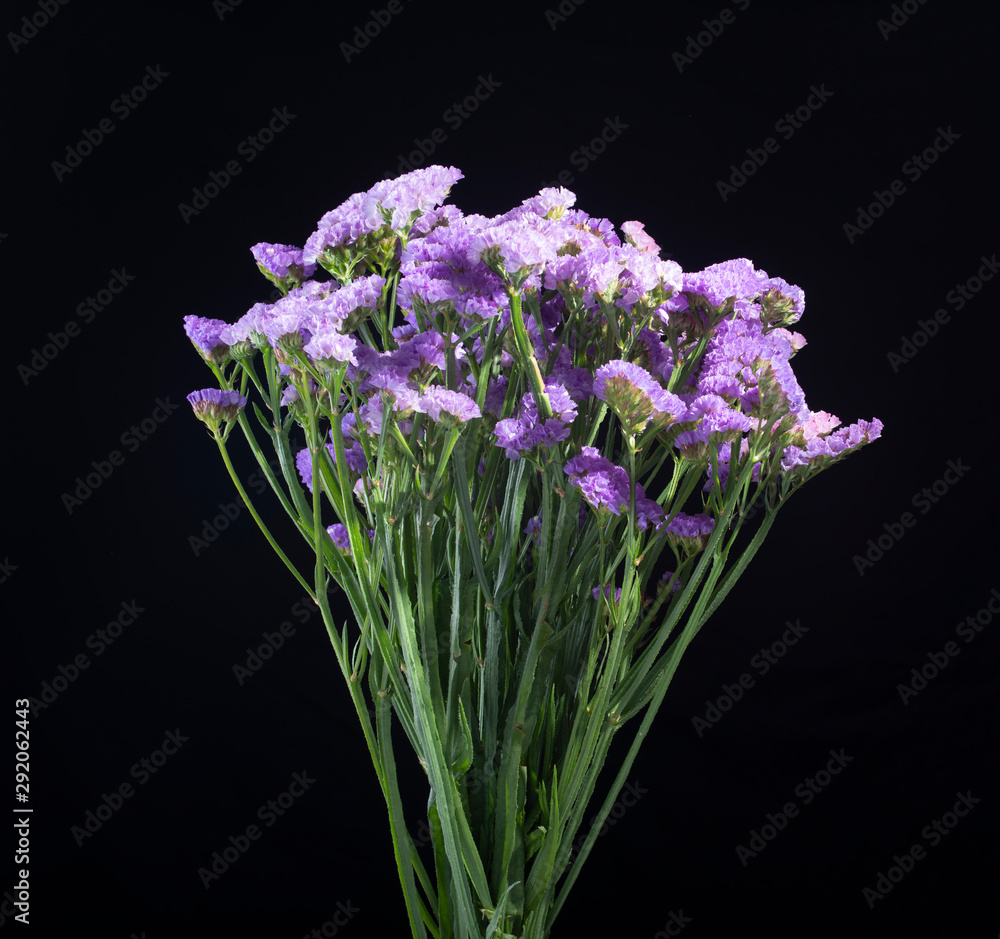 Bunch of lavender flowers Bunch of lavender flowers