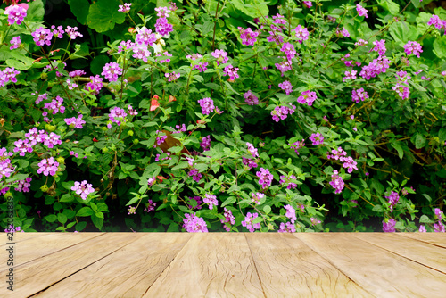 Empty top wooden table on closeup beautiful purple flowers blooming in garden