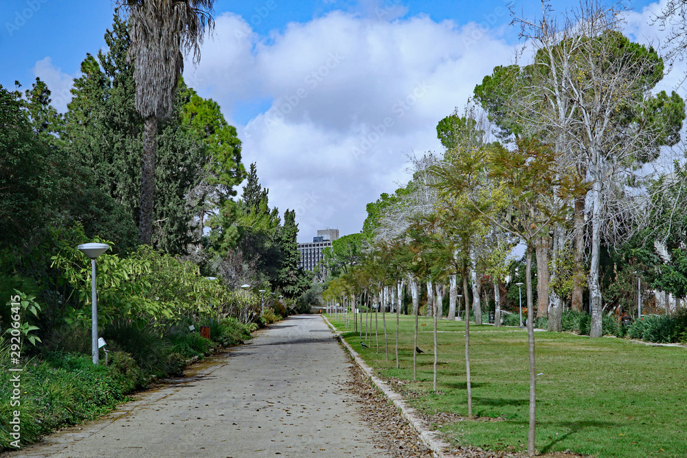 Jerusalem botanical garden in winter, with some trees losing their leaves