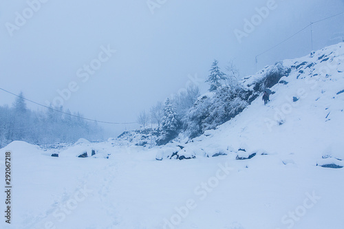 Beautiful winter landscape with forest ad trees covered with white snow, snowfall in Himalayan mountains, bad weather - Image