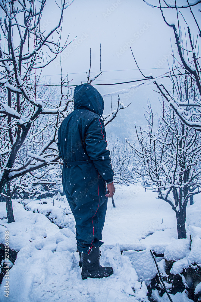 Man standing in the snow, looking at the beautiful view around him, trees covered with thick layer of snow.- Image
