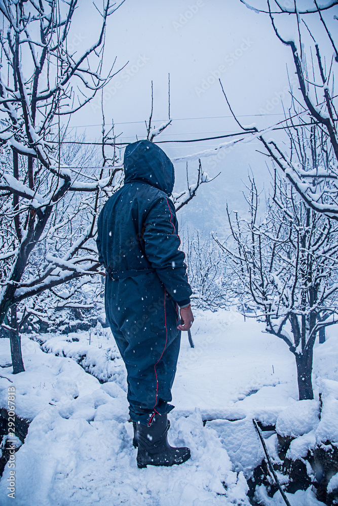 Man standing in the snow, looking at the beautiful view around him, trees covered with thick layer of snow.- Image Man standing in the snow, looking at the beautiful view around him, trees covered with thick layer of snow.- Image