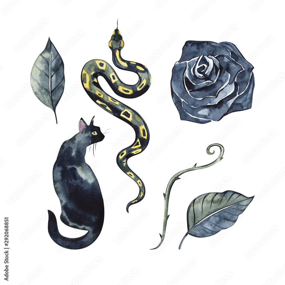 Dark Cartoon Animal Design. Black rose, snake, cat Print Tattoo. Halloween  watercolor set. Rose Wildlife Art Illustration. Stock Illustration | Adobe  Stock