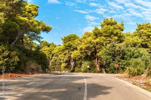 Road on the Croatian island of Lastovo. Forest junction with stop road sign. Morning on the road. Holiday in Croatia. © martinfredy