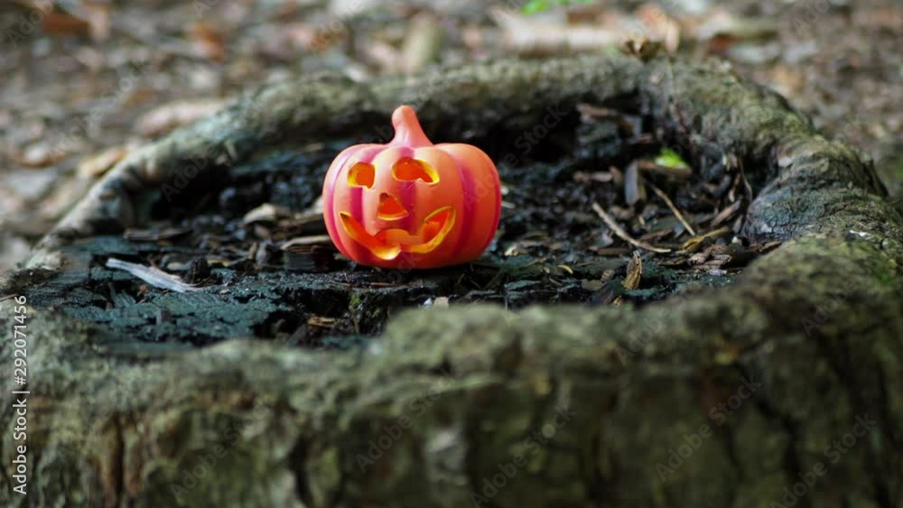 Halloween Pumpkin On Wood In A Spooky Forest Halloween Pumpkin On Wood In A Spooky Forest