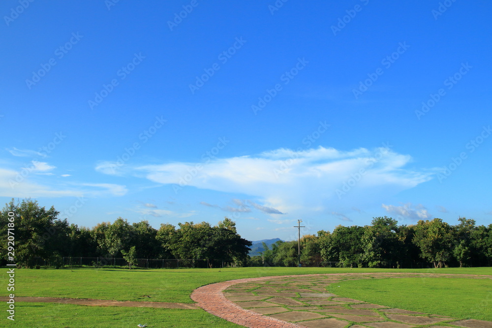 green field and blue sky green field and blue sky