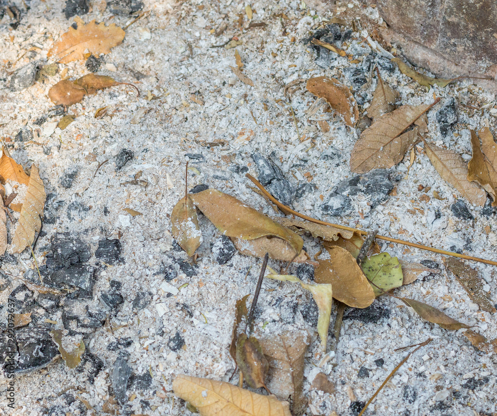 Ashes and dry leaves isolated up close image for background use and with copy space