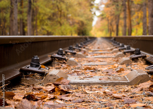 Railway in the forest in autumn  close up  selected focus