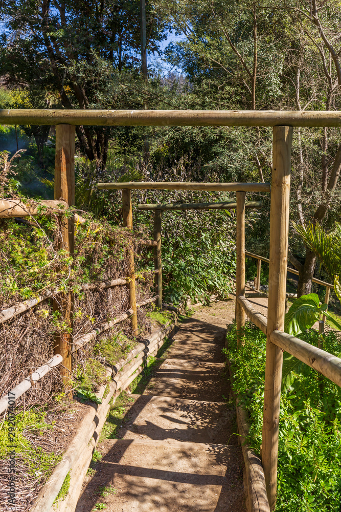 Wooden structure in the Botanical Garden Wooden structure in the Botanical Garden