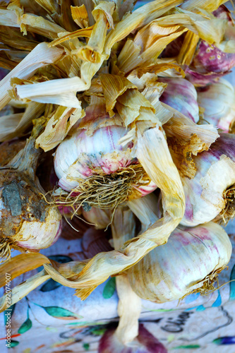 clove garlic sold in market in provence,france
