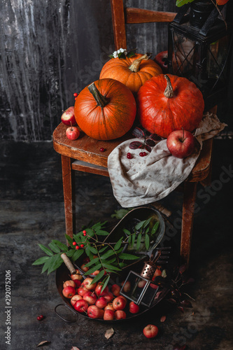 Assorted pumpkins on wooden chair with apples and fall leaves on a shabby gray background