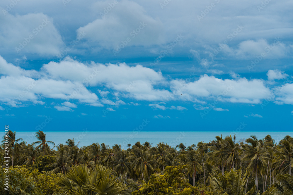 Autumn tropical panorama stormy sea, palm trees and clouds from the top