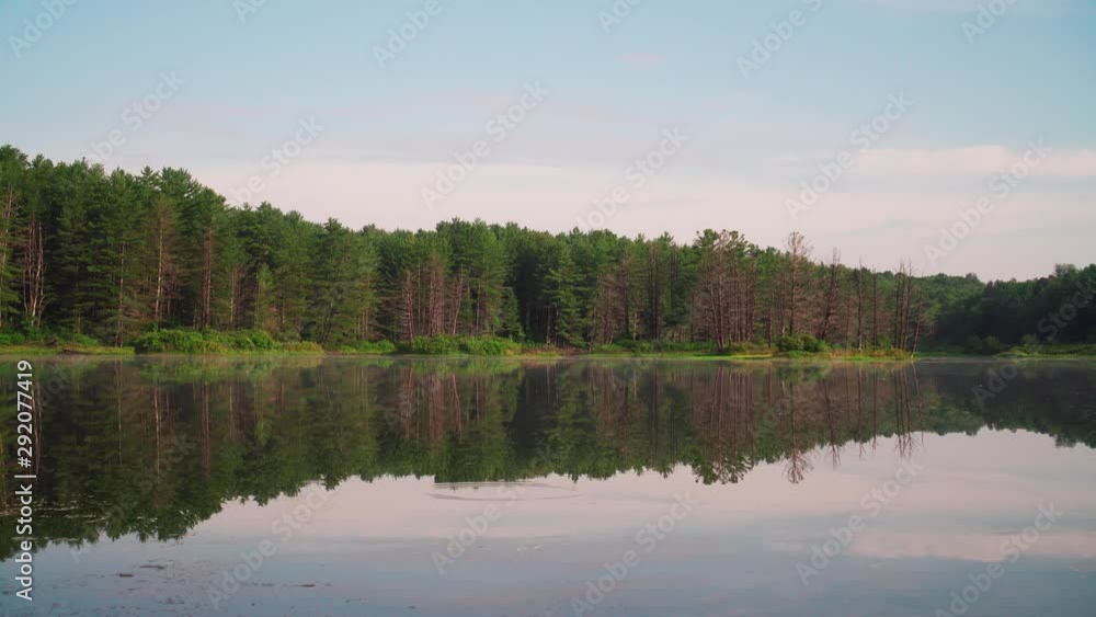 Mirrored reflection of forest treeline over lake on a still morning. Mirrored reflection of forest treeline over lake on a still morning.