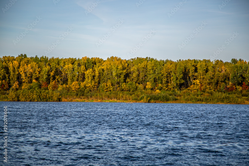 autumn forest by the river, view from the water autumn forest by the river, view from the water
