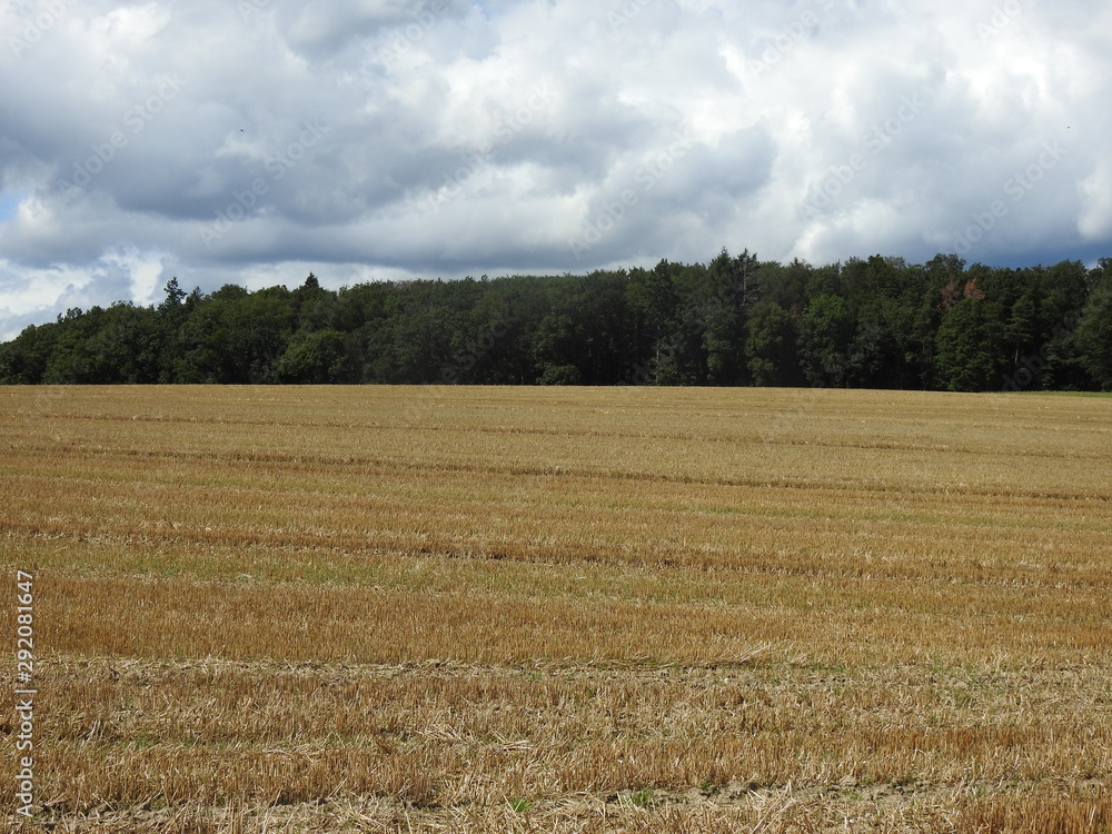 Obraz premium paysages