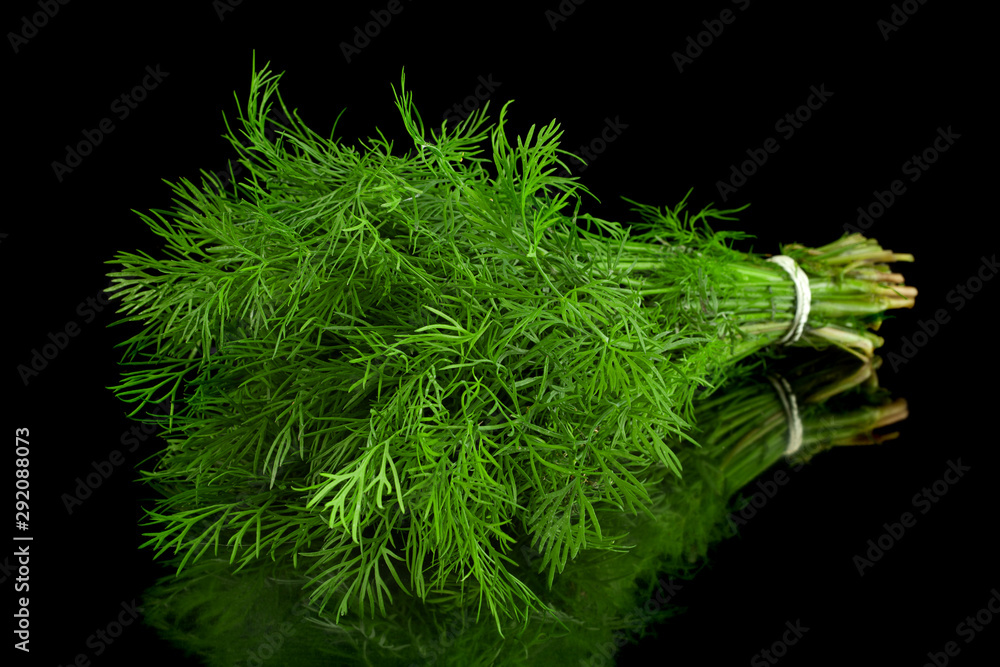 Fototapeta premium Dill herb bunch on background