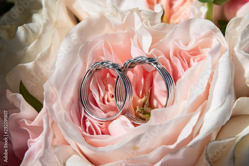 pair of wedding rings with pastel purple rose for background image photo