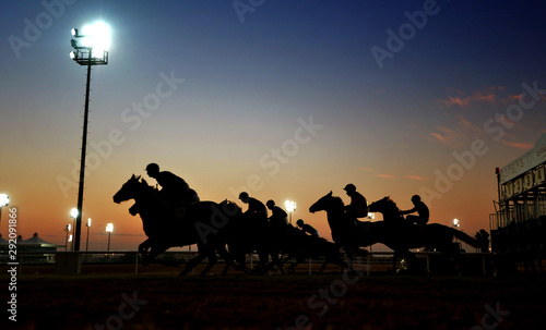 Obraz na plátně horse riders in silhouette to ahead the championship.