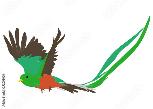 Quetzal volador photo