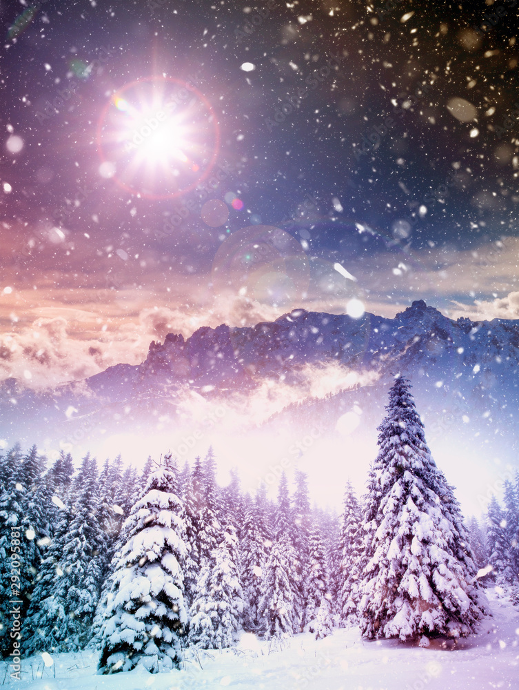Naklejka premium Majestic winter landscape with snowy fir trees. Winter postcard.
